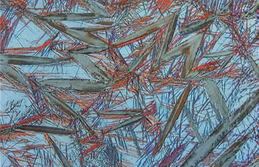 Bainite-martensite microstructure micrograph